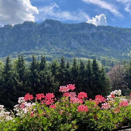 Ferienwohnung Mit Seeblick, Unterach Am Attersse Unterach am Attersee Kültér fotó